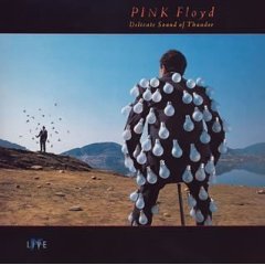 PINK FLOYD - DELICATE SOUND OF THUNDER
